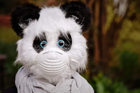 Биткоза Казино Поддръжка